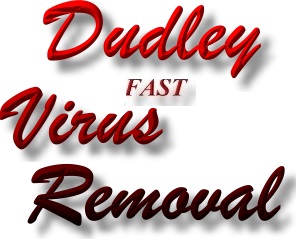 Fast Dudley Computer Virus Repair